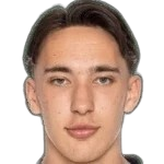 Edwin Ibrahimbegovic