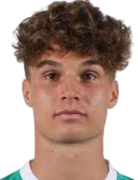 Fabian Straudi