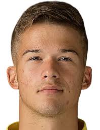 Ferenc bogi