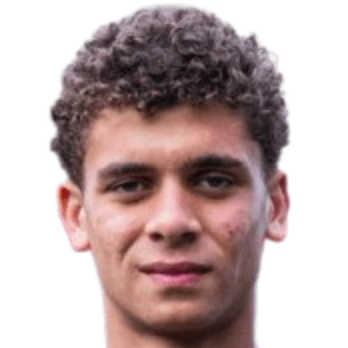 Hamza Abdelkarim