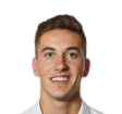 Javier Hernandez Carrera