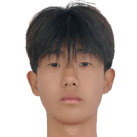 Lin Hanqi