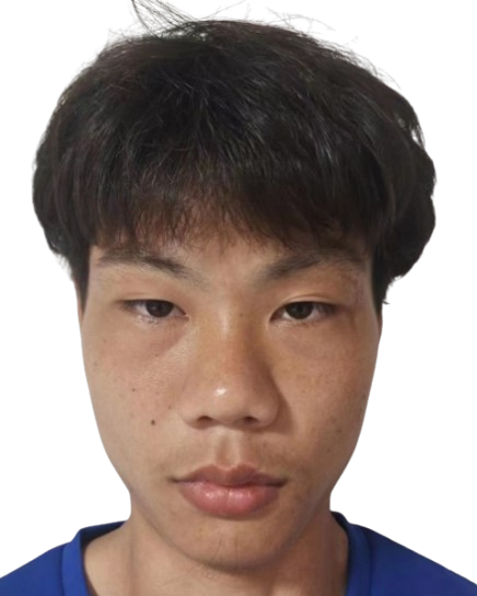 Liu Linhui