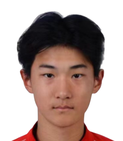 Liu Zhenyi
