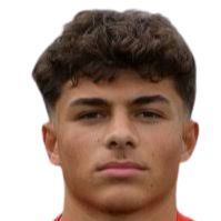 Luis Puleri