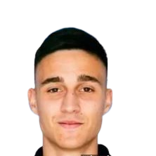Luka Mikulić