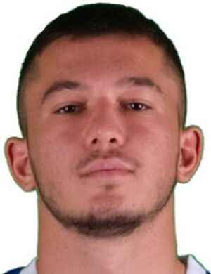M. Mutlu