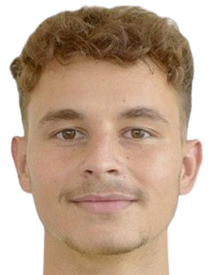 Martin souhrada
