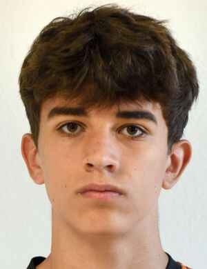 Mikolaj Bednarski
