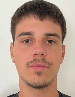 milan stamenkovic