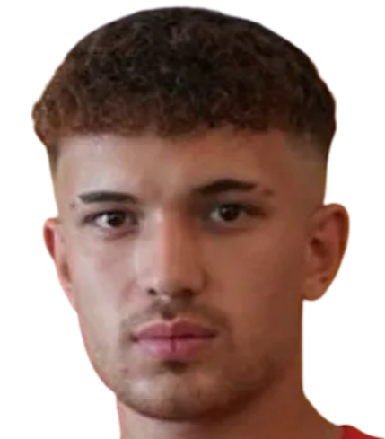 Necip Özer