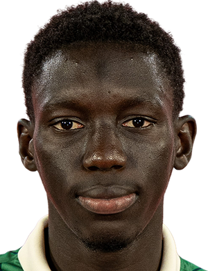 Nfansu Njie