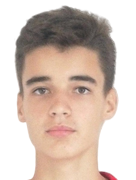 Nikolas Milos Pollak
