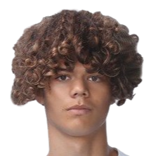Patrick Budescu