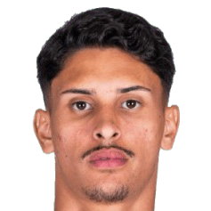 Pedro Henrique Leão Alves Lopes