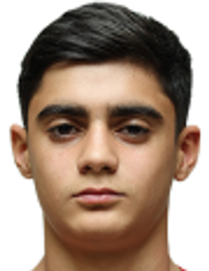 Robert Hovakimyan
