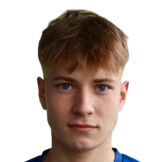 Rodion Romanov