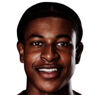 Tarik Gidaree