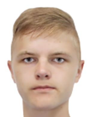 vadim tseluiko