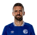 Vedad Ibišević
