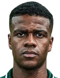 vieira fellipe