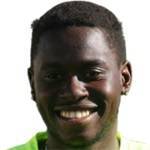 Wilfried Moke