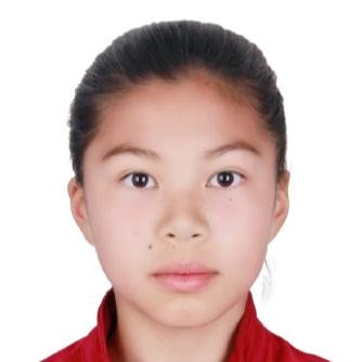 Zhu Paixi