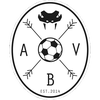 Aarhus Black Vipers