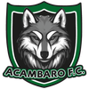 Acambaro FC