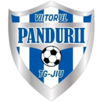 ACS Viitorul Pandurii Targu Jiu II