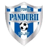 ACS Viitorul Pandurii Targu Jiu U19
