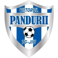 ACS Viitorul Pandurii Targu Jiu