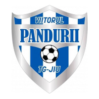 ACS Viitorul Tg