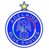 Adelaide Blue Eagles Reserve