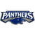 Adelaide Panthers'