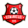 AFC Hermannstadt