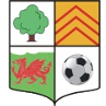 AFC Llwydcoed