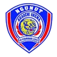 Akademi Arema Ngunut