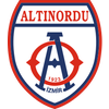 Altinordu