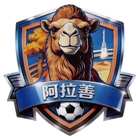 Alxa League Team