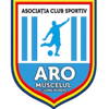 ARO Muscelul Campulung