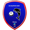 AS Dauphins Noirs