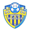 AS Spicul Valcelele