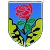 ASD Seravezza Calcio