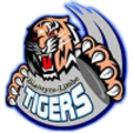 Azam Tigers FC