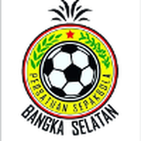 Bangka Selatan