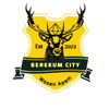 Berekum City