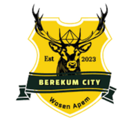 Berekum City