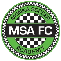 Bidhannagar MSA