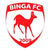 Binga